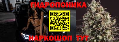 шишки Коммунар