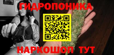 шишки Коммунар
