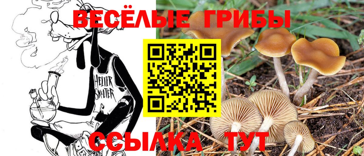 Конаково  Галлюциногенные грибы мицелий  как найти закладки  Вход с VPN 